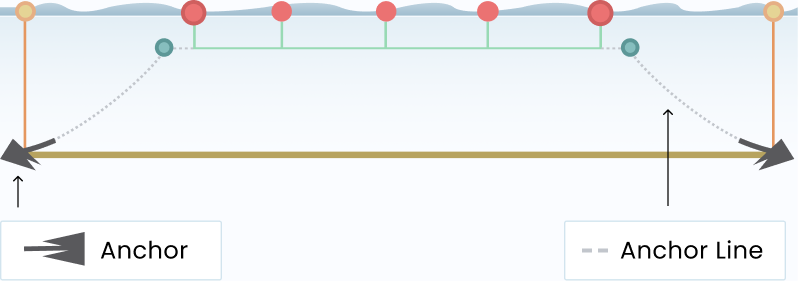 Anchor and anchor line, illustration from GreenWave
