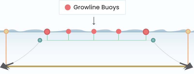 Growline buoys, illustration from GreenWave