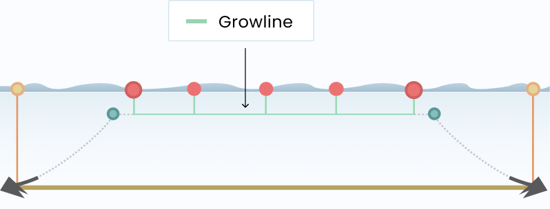 Growline, illustration from GreenWave