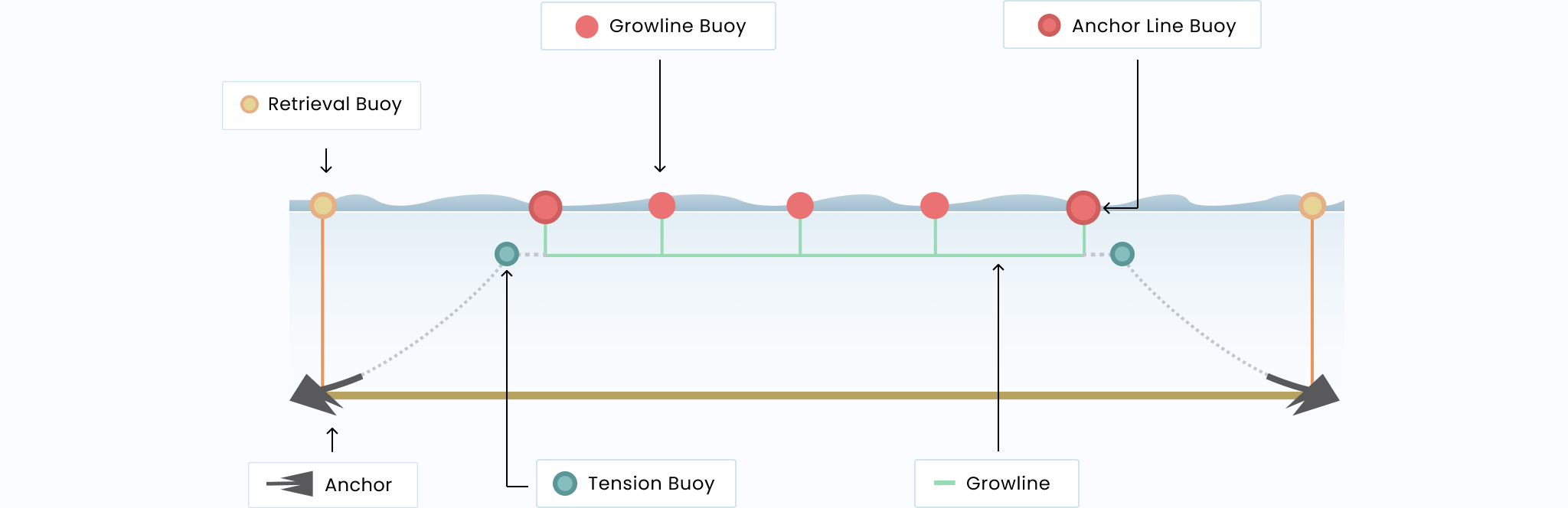 Growline seen from the side, illustration from GreenWave