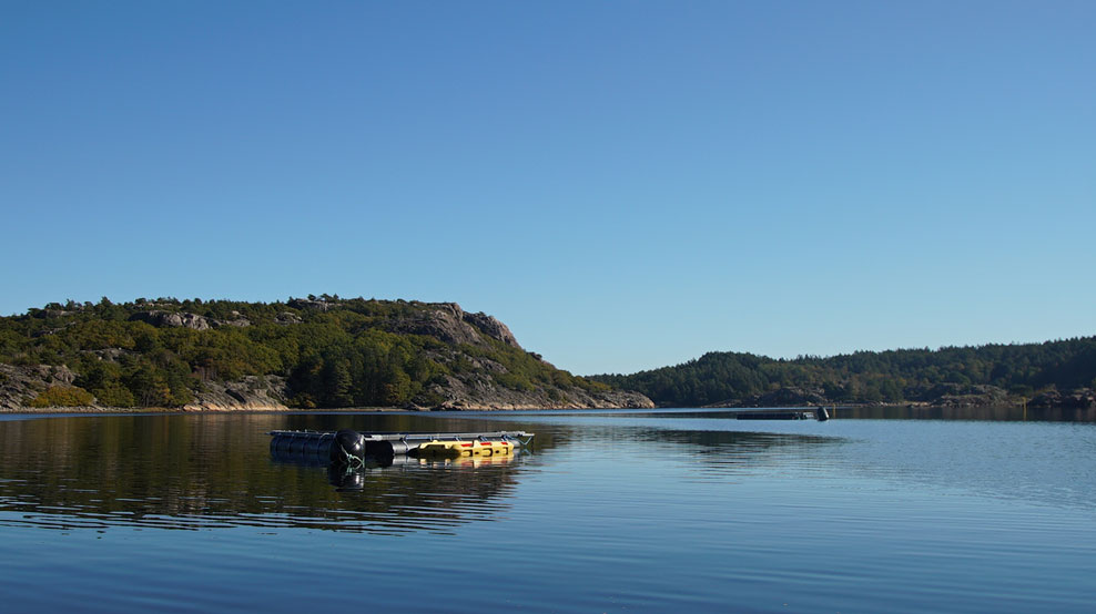 stigfjorden-cover