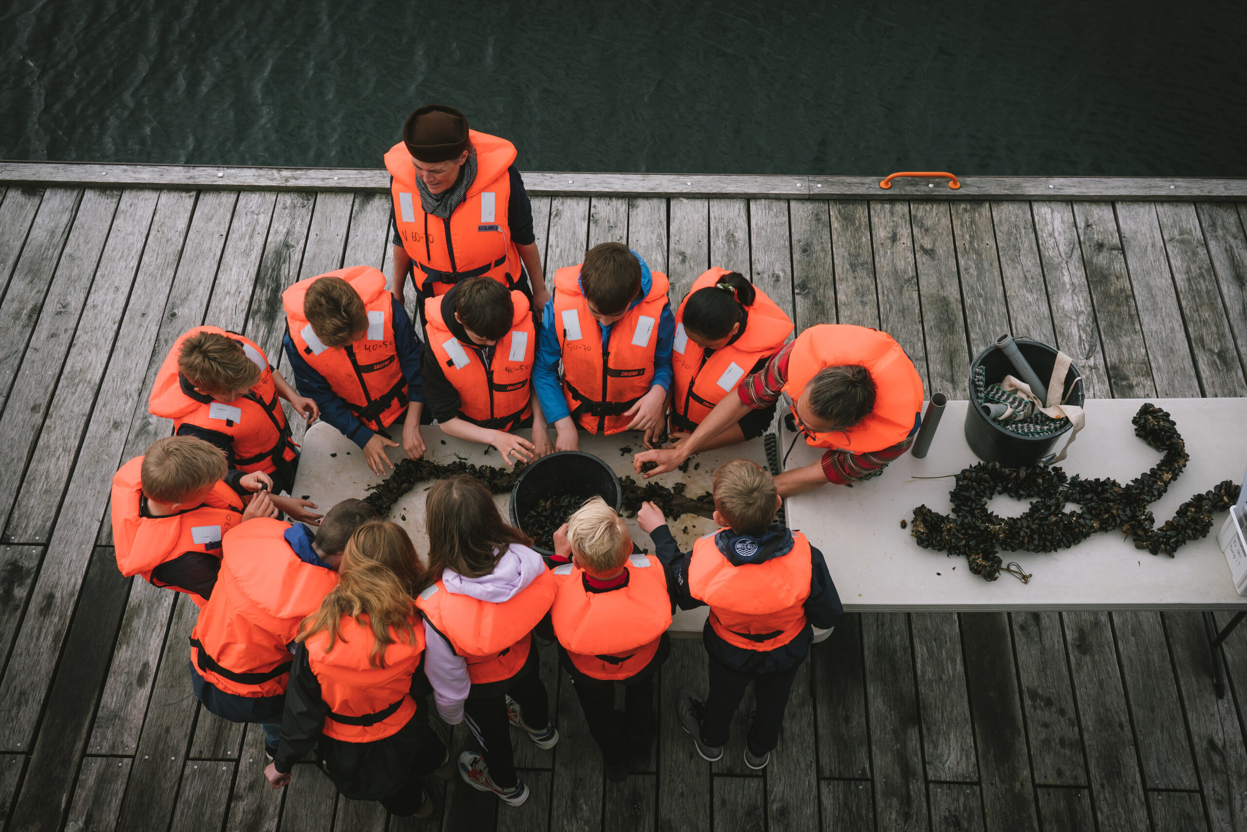 DSC09076 Example of municipal support that enables schools to use small-scale sea farms as outdoor classrooms