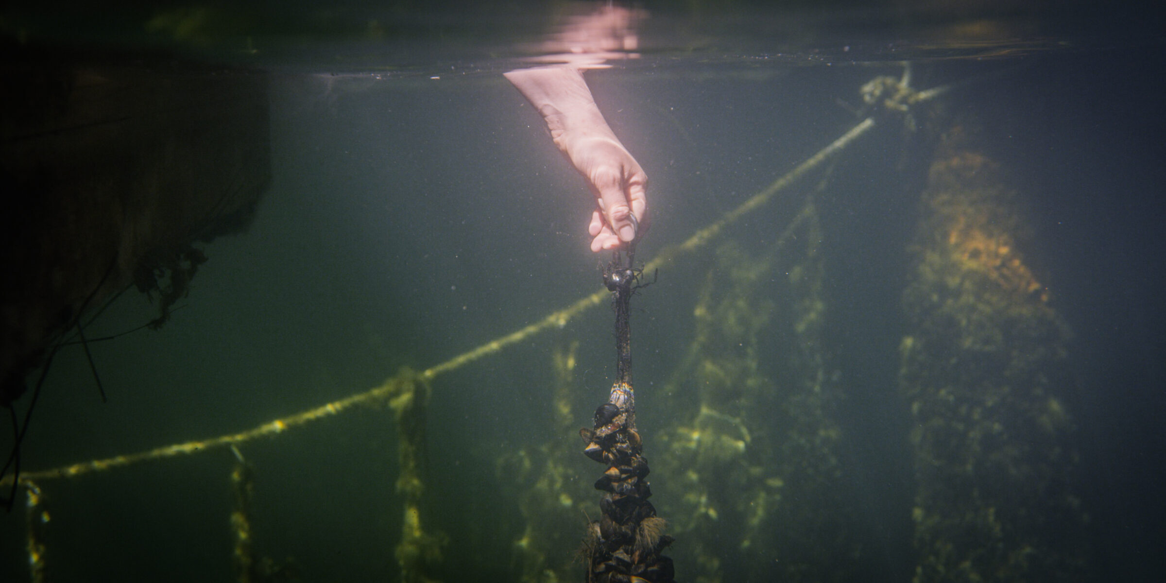 A007_C024_0417YX A007_C024_0417YX